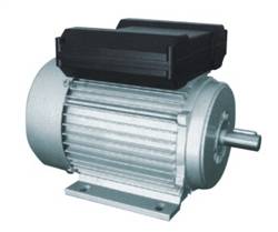 YL單相雙值電容異步電動(dòng)機(jī)