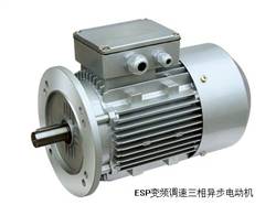 ESP frequency control of motor speed three phase asynchronous motor