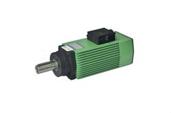 High speed motor