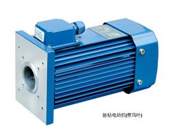 The motor