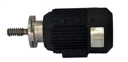 The feeder motor