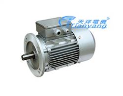 Inverter motorB5--ESP